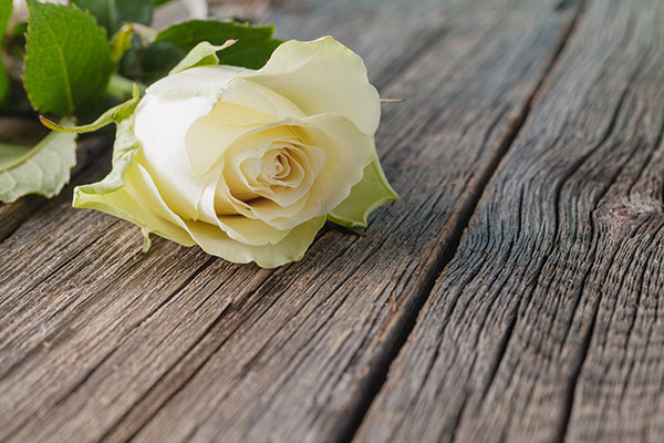 A flower symbolizing a wrongful death in Long Beach.