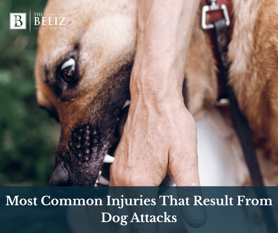 Most Common Injuries That Result From Dog Attacks